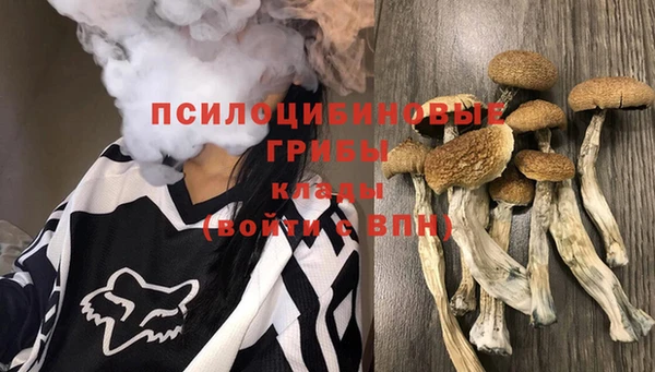 MDMA Premium VHQ Аркадак