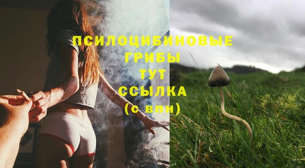 MDMA Армянск
